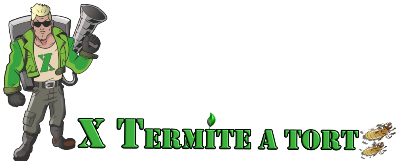 Traitement anti termites Bassin d'Arcachon X TERMITE A TORT
